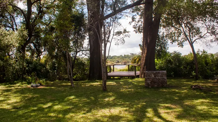Campsite 1, a lawn shaded by tall trees